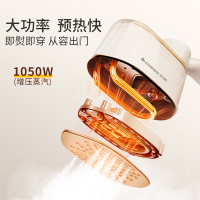 志高(CHIGO)手持挂烫机家用宿舍小型便携电熨斗熨烫熨衣服熨烫机_升级款钛金面板干湿双烫