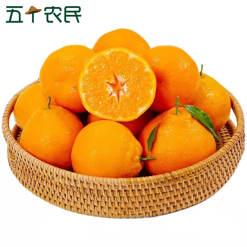 [五个农民]正宗四川春见耙耙柑精美礼盒 净重5斤大果当季新鲜水果桔子橘子蜜桔柑橘
