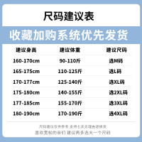 狮臣SHICHEN 2023年秋季新款男士运动套装休闲款卫衣套装休闲套装男长袖长裤休闲服男运动套装男装