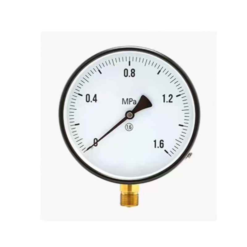 硕臻 压力仪表器 Y-160 块高清大图