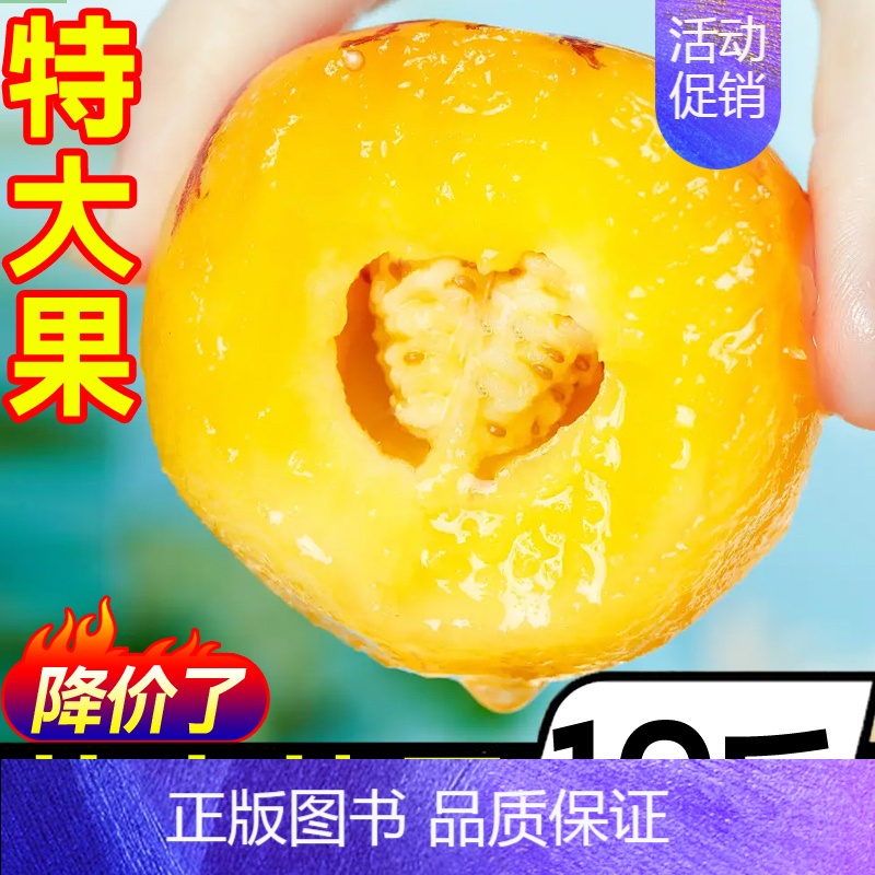 0g 圆果 3斤【中小果约30-50个】(黄肉熟果) 【正版】云南石林人参果大果新鲜水果沙漠整箱人心娃娃正品