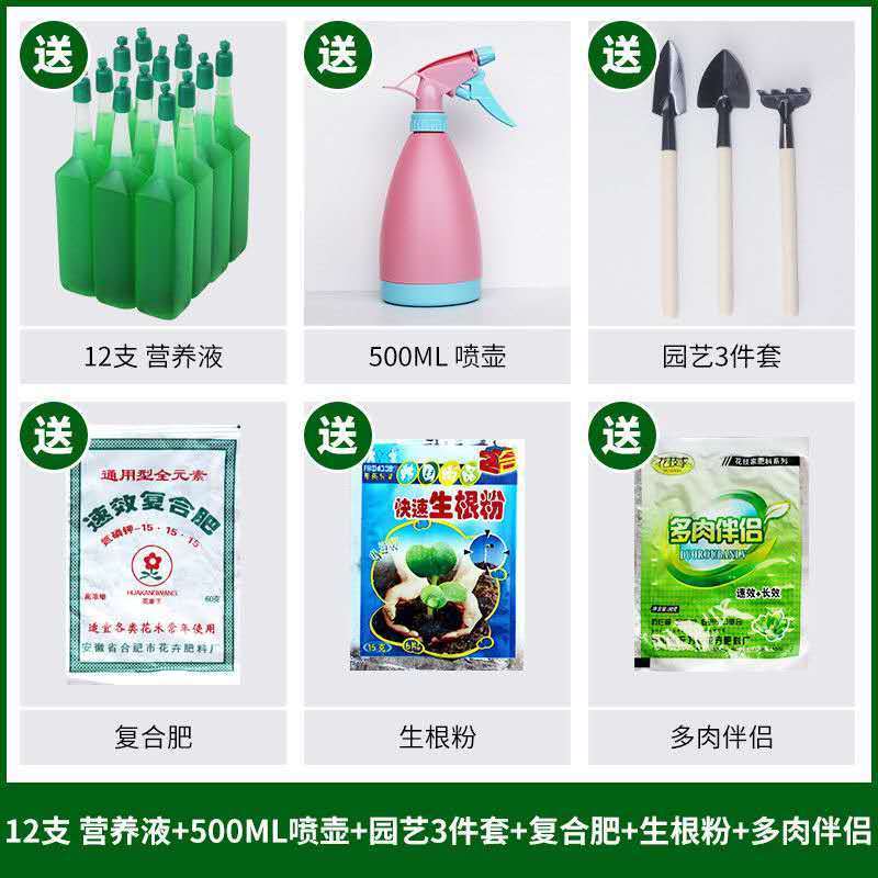 植物营养液通用型水培土培花绿萝多肉富贵竹花肥营养液浇花喷壶 营养液18只
