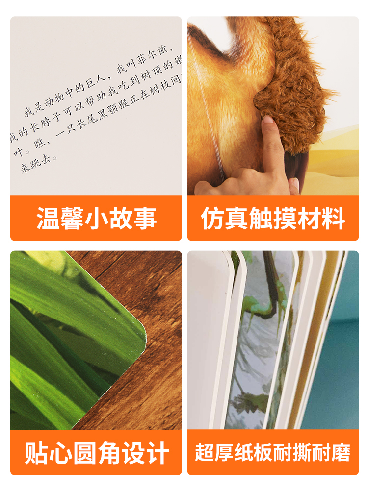 触摸书+宝宝学语言 [正版]宝宝的第一本触摸书 早教触摸书婴儿书感官刺激绘本 那么大地板书 1岁撕不烂立体儿童读物0到2高清大图