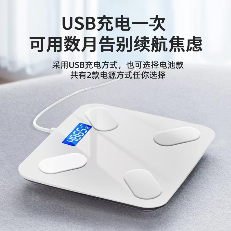 辉鼎 体脂秤普通APP电池款高清大图