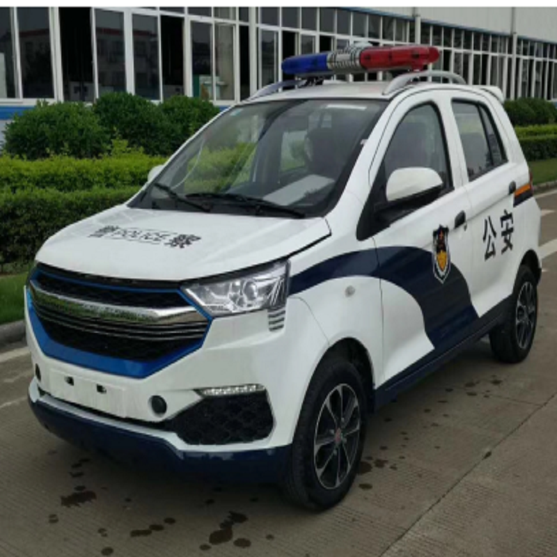 专菱五座巡逻车zldxl0305