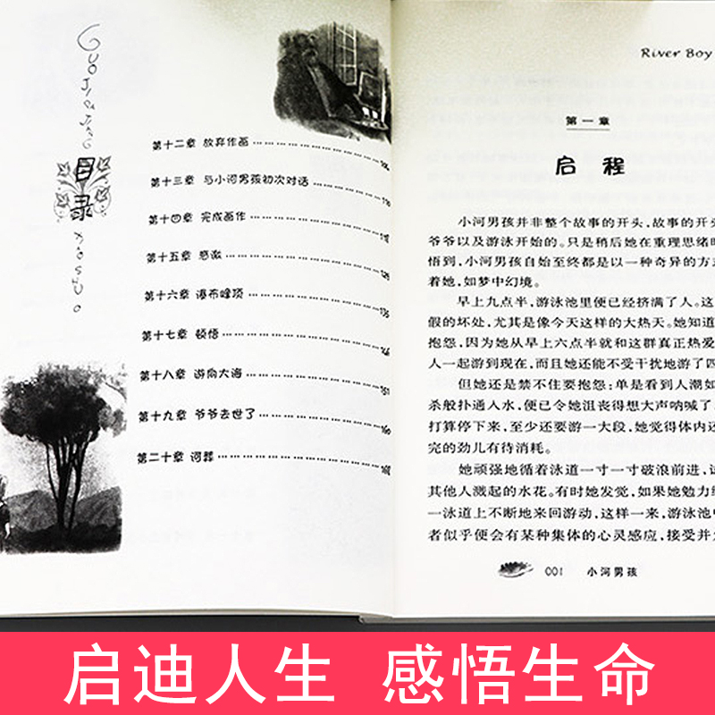 海蒂的天空 [正版]小河男孩纽伯瑞国际大奖儿童文学小说系列全套集升级版小学生三四五六年级课外阅读经典书籍新蕾出版社目常青高清大图