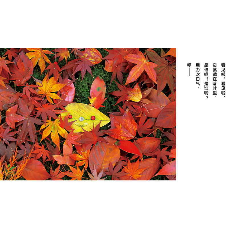 《在秋天》精装 一本对秋天的礼赞绘本 [正版]秋天主题系列落叶捉迷藏精装绘本2岁以上落叶搭建的各种造型的小动物锻炼小朋友高清大图