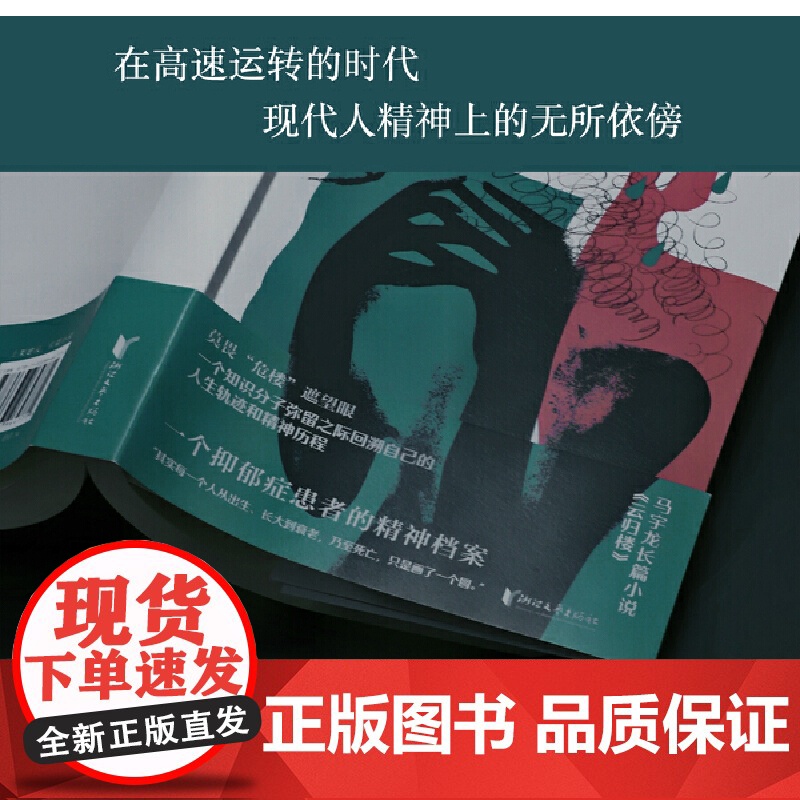 云归楼(一个抑郁症患者的精神档案) 马宇龙 浙江文艺出版社 正版书籍高清大图