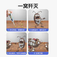 韩国韩世牌杀蟑胶饵10g家用灭蟑螂蟑螂药全窝端室内厨房灭小强