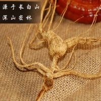 神芝王朝 山参移山参2支精品 东北长白山山参人参高档礼盒