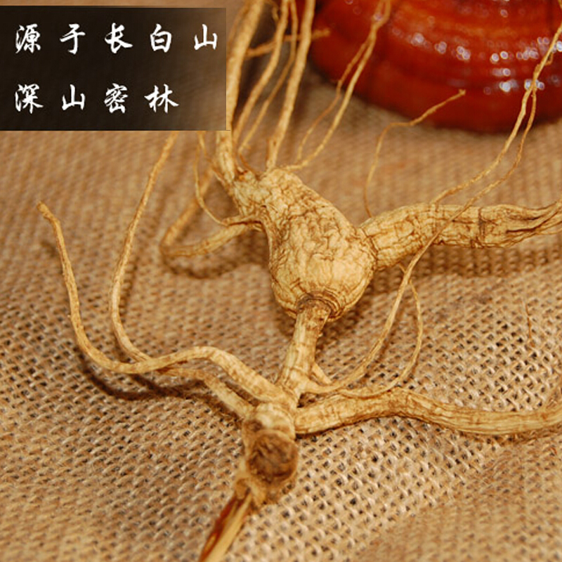 神芝王朝 山参移山参2支精品 东北长白山山参人参高档礼盒