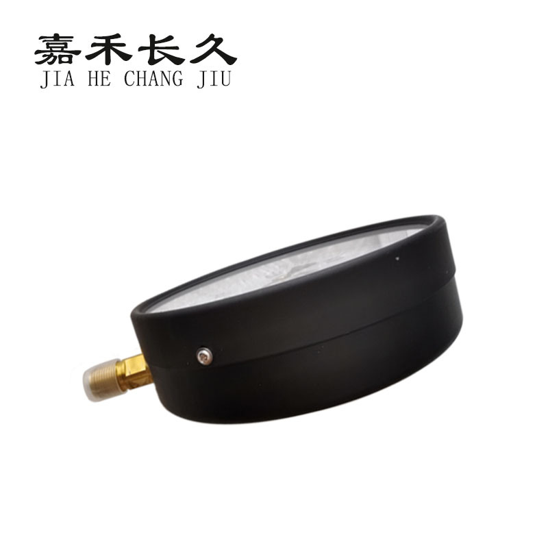嘉禾长久+压力表检测定制型+Y200+块