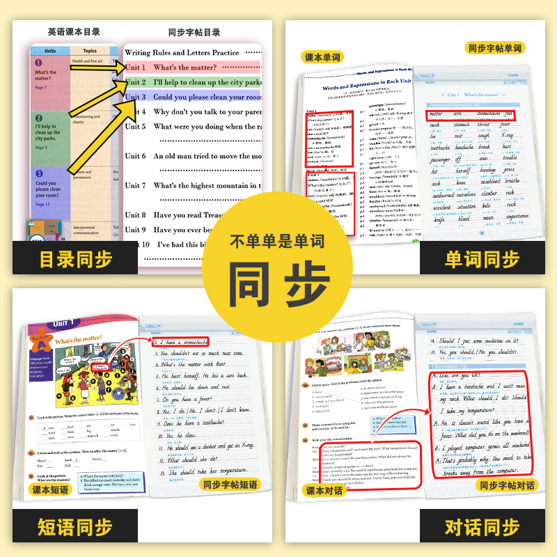 语文 八年级下 [正版]八年级下册英语字帖意大利斜体同步训练英语单字字母练字帖初中生暑假作业墨点字帖2023年中学八年级