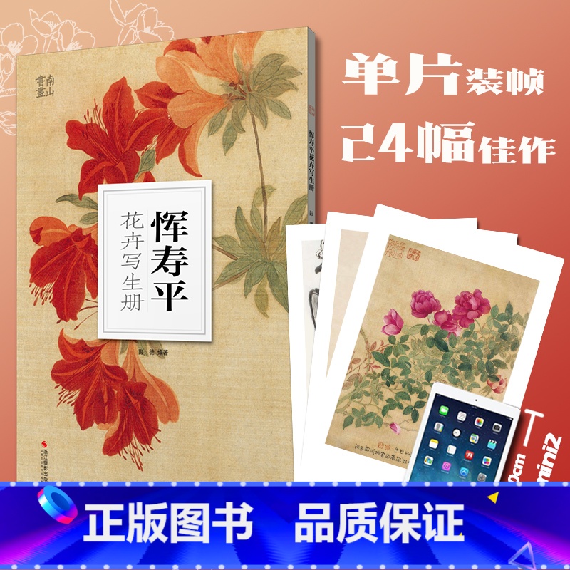 【正版】恽寿平(花卉写生册)/南山册页 本册从恽寿平花卉摹古与写生的存世作品中辑选代表性册页四套 大约创作于公元167