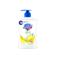 舒肤佳健康抑菌洗手液柠檬清新型450ml 抑菌 温和亲肤