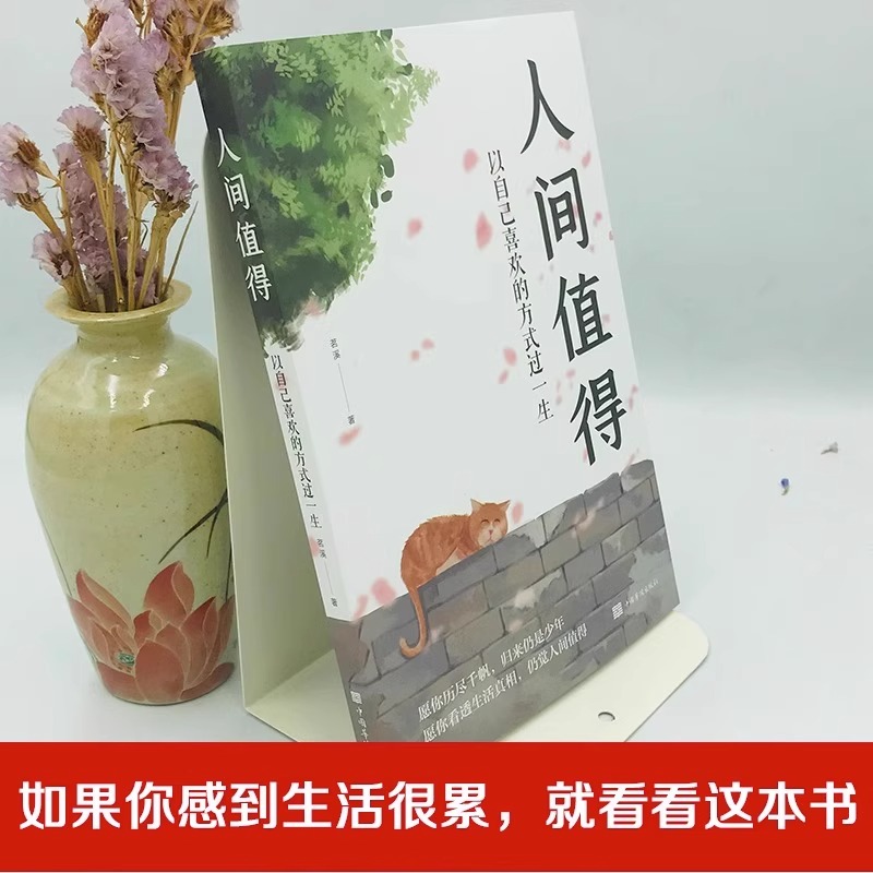 [正版]全套3册 人间值得 以自己喜欢的方式过一生从容淡定成功励志情商与情绪青春文学正能量励志书籍 心灵与修养积极向上高清大图