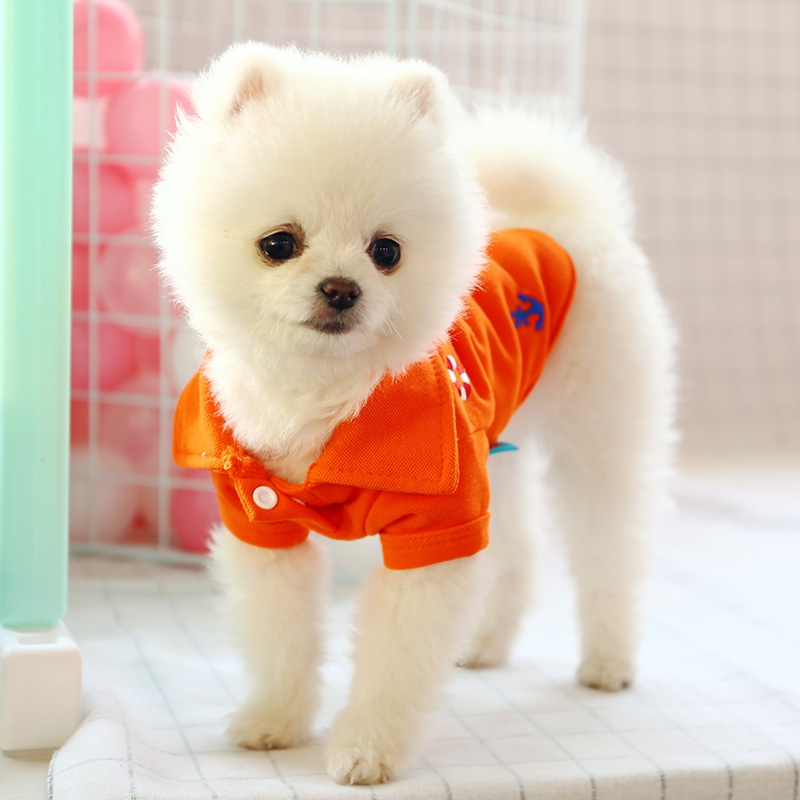 宠物衣服米妮泰迪比熊博美休闲卫衣圆领衫幼犬小型犬狗狗polo