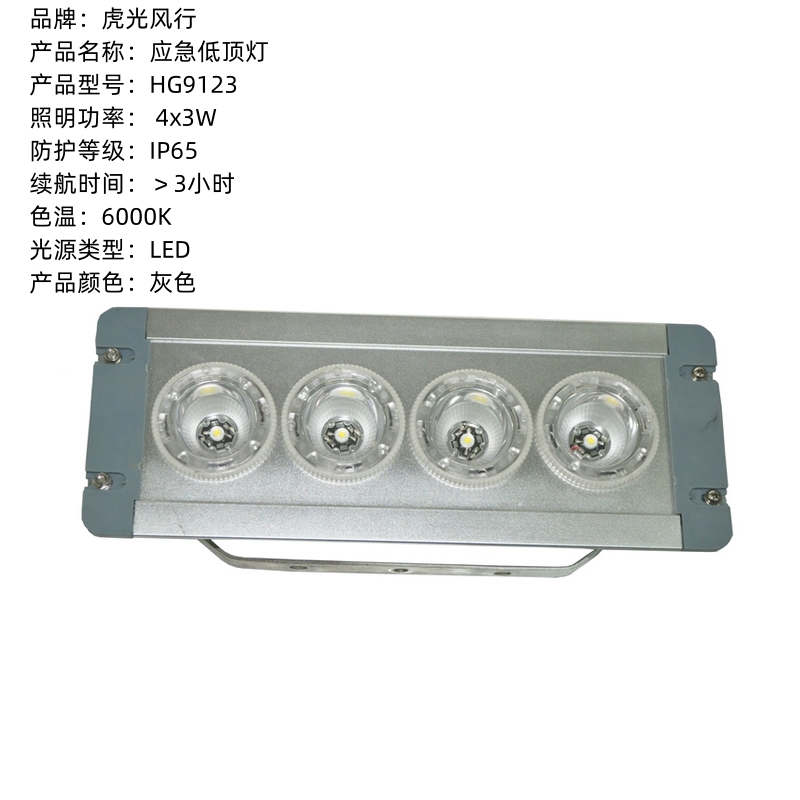 虎光风行 LED 应急低顶灯 HG9123 4x3W、AC220V 灰色高清大图