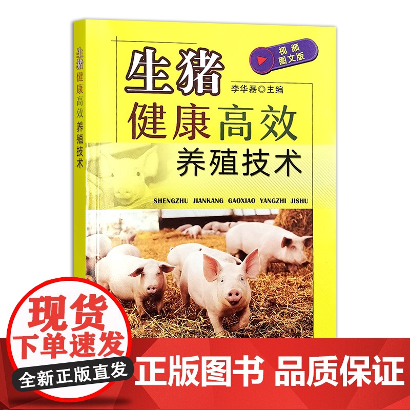 生猪健康高效养殖技术 李华磊主编 9787109322349 视频图文版生猪饲养技术大全养猪图书高清大图