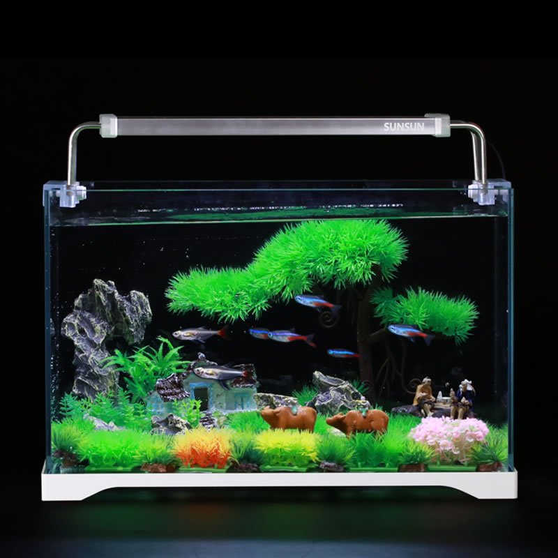 鱼缸小型超白玻璃热带水族箱长方形生态水缸中型客厅金鱼缸