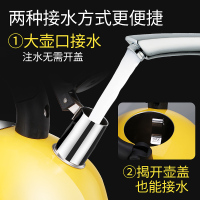格立高(Geligao)GLG-4201M电热水壶 304不锈钢家用煮茶壶自动断电优质温控器烧水器 4.2L