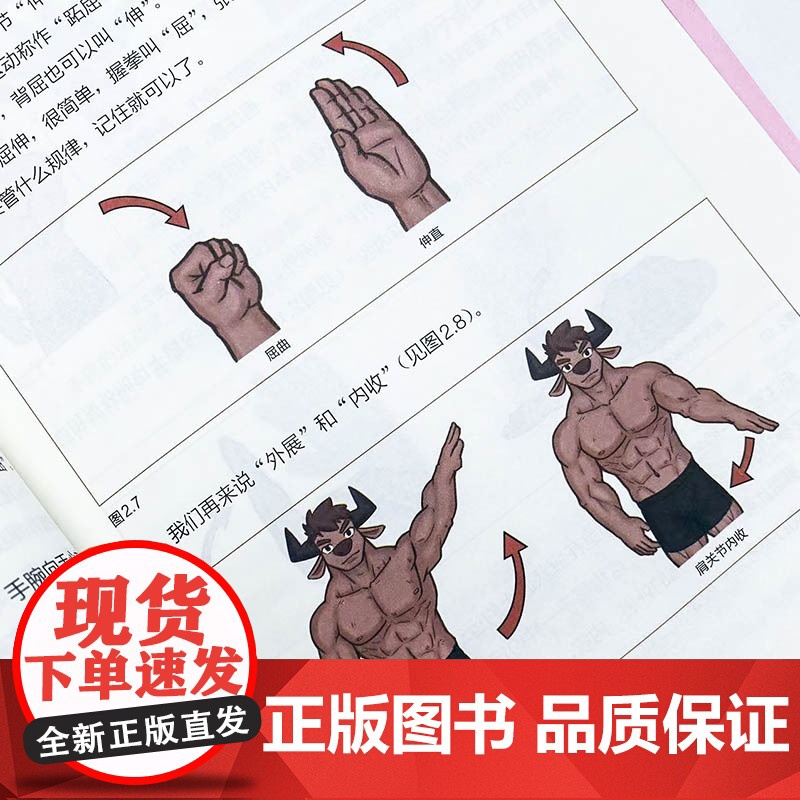 写给健身者的运动解剖学漫画版 健身导师仰望尾迹云 健身训练书籍 肌肉图解健身知识 仰望尾迹云科普入门教程高清大图