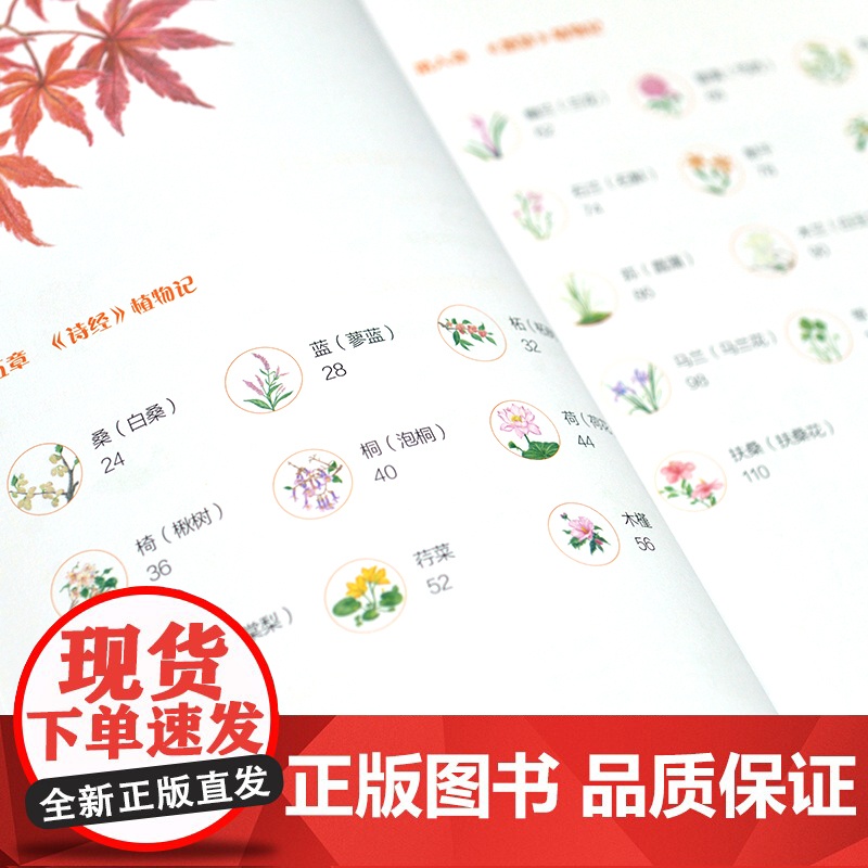 色铅笔手绘入门 古诗词植物绘高清大图