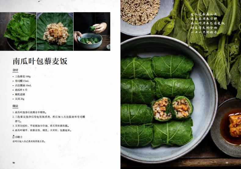 全植物纯素食四季疗愈