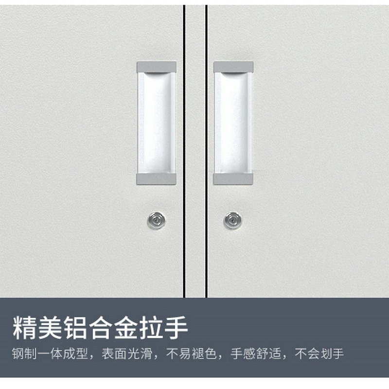 逐鹿中原铁皮更衣柜铁皮柜储物柜G037员工柜存包柜鞋柜宿舍学校多门柜带锁 二门更衣柜