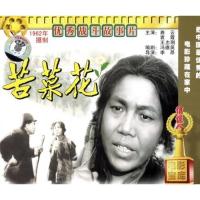 [商城正版]俏佳人老电影 苦菜花(VCD) (1965) 曲云, 袁霞