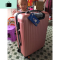 行李箱女20寸拉杆24旅行箱万向轮密码锁小清新个生大容量NEWLAKE_737 24寸 粉红色