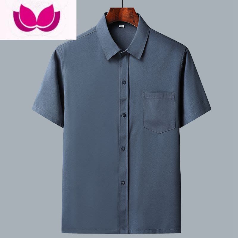 七斓中老年男士短袖休闲衬衫夏季宽松冰丝纽扣商务衬衣老人爷爷爸爸装图片