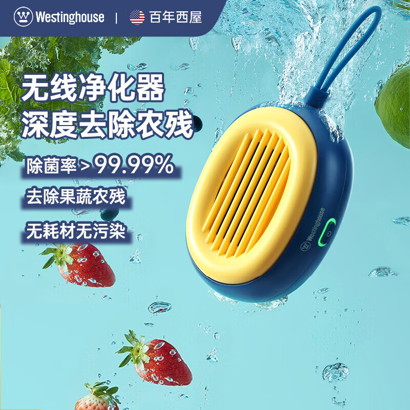 西屋(WESTINGHOUSE)15W羟基水离子净化技术便携可拆卸清洗仓果蔬清洗机 WGS31