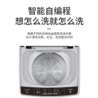 Haier/海尔 XQB80-Z1269波轮洗衣机 全自动家用 8公斤智能预约 自由选择洗衣时间 漂甩二合一 2级能效