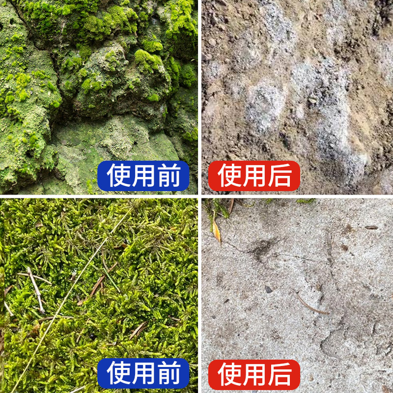 [补贴10%]青苔清除剂水泥地面专用克星苔藓藻类去除绿清洁神器高浓缩石材高清大图