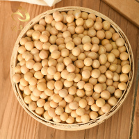 粮年隆大黄豆椭圆形笨黄豆非转基因黄豆老品种大豆五谷杂粮450g