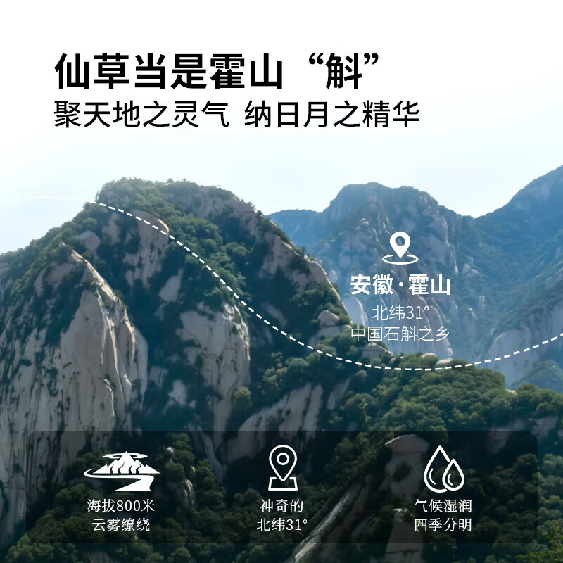 北京同仁堂铁皮石斛正宗安徽霍山米斛霍斛枫斗干石斛茶耳环石斜石湖泡酒泡茶煲汤榨汁入膳食入药70g/罐