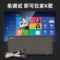 山水（SANSUI） H3 家庭KTV K歌音响套装 套装家庭影院 电视音响全民K歌音响 无线双麦克风居家K歌版家庭音响
