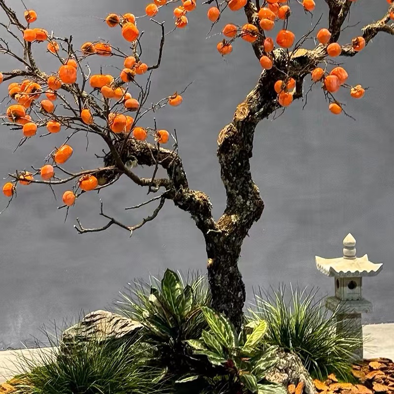 仿真柿子树许愿树落地假树橱窗装饰造景 10棵起售高清大图