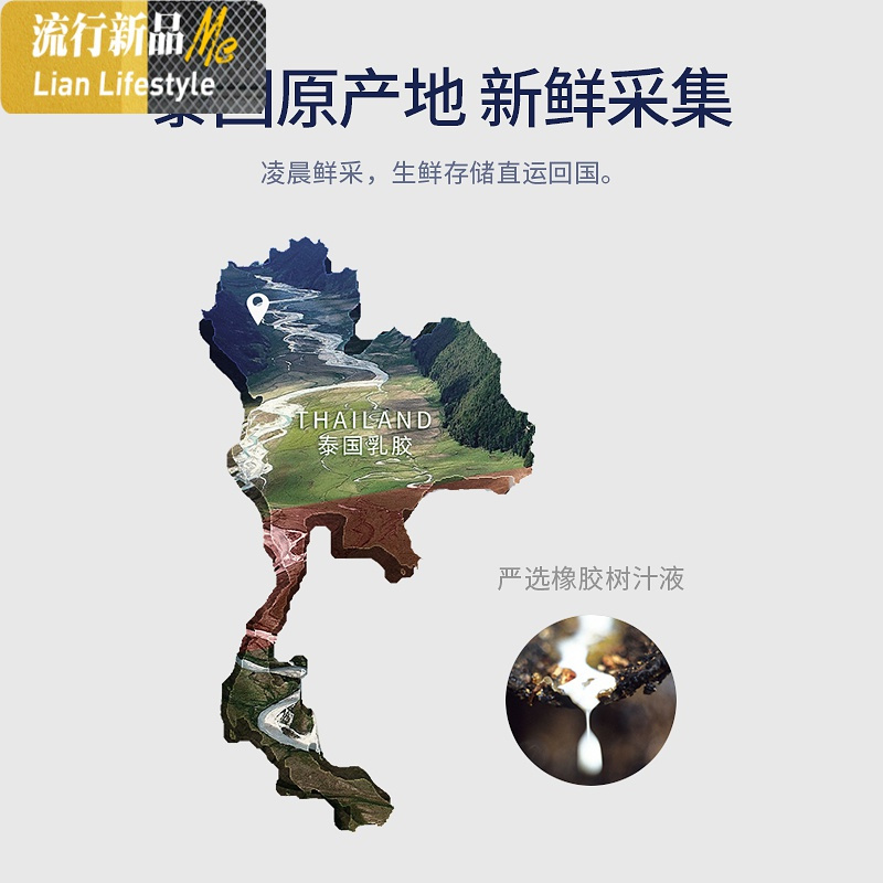 泰国天然乳胶枕护颈 (单只装) 三维工匠枕芯/枕头