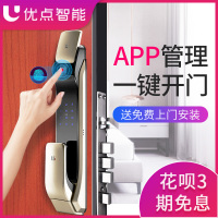 优点智能E1智能门锁 电子锁指纹锁密码锁 家用防盗门锁 电子大门锁磁卡感应智能锁 琥珀金 网络版带网关