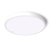 佛山照明(FSL)25W 吸顶灯客厅灯卧室灯具灯饰简约现代调色 铁艺烤漆25W 白色 (单位:个)