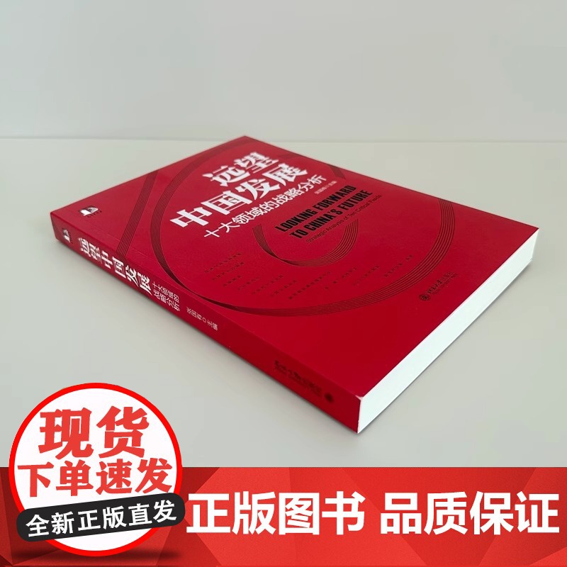 远望中国发展——十大领域的战略分析 中国式现代化行动指南 张国有深入现实亲近问题展望未来倾力求解探索实现中国式现代化路线高清大图