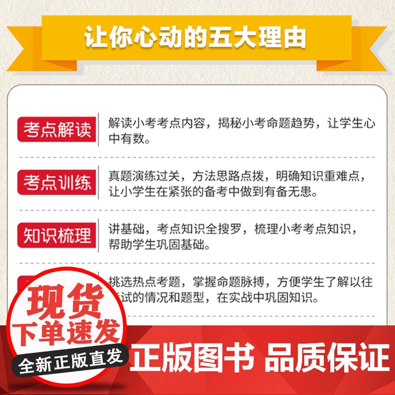 24新版木头马小升初名师帮你总复习数学名师特训人教版全国通用小学生毕业升学复习资料考前冲刺模拟试题考点归纳知识大全高清大图