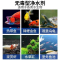 水族鱼缸净水剂鱼塘水观赏鱼水质清澈澄清清澈剂清水用清洁净水王