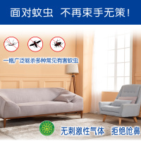 李字600ml杀虫气雾剂(无香纯净型)杀蚊子 杀蟑螂 杀蚂蚁 杀虫喷雾