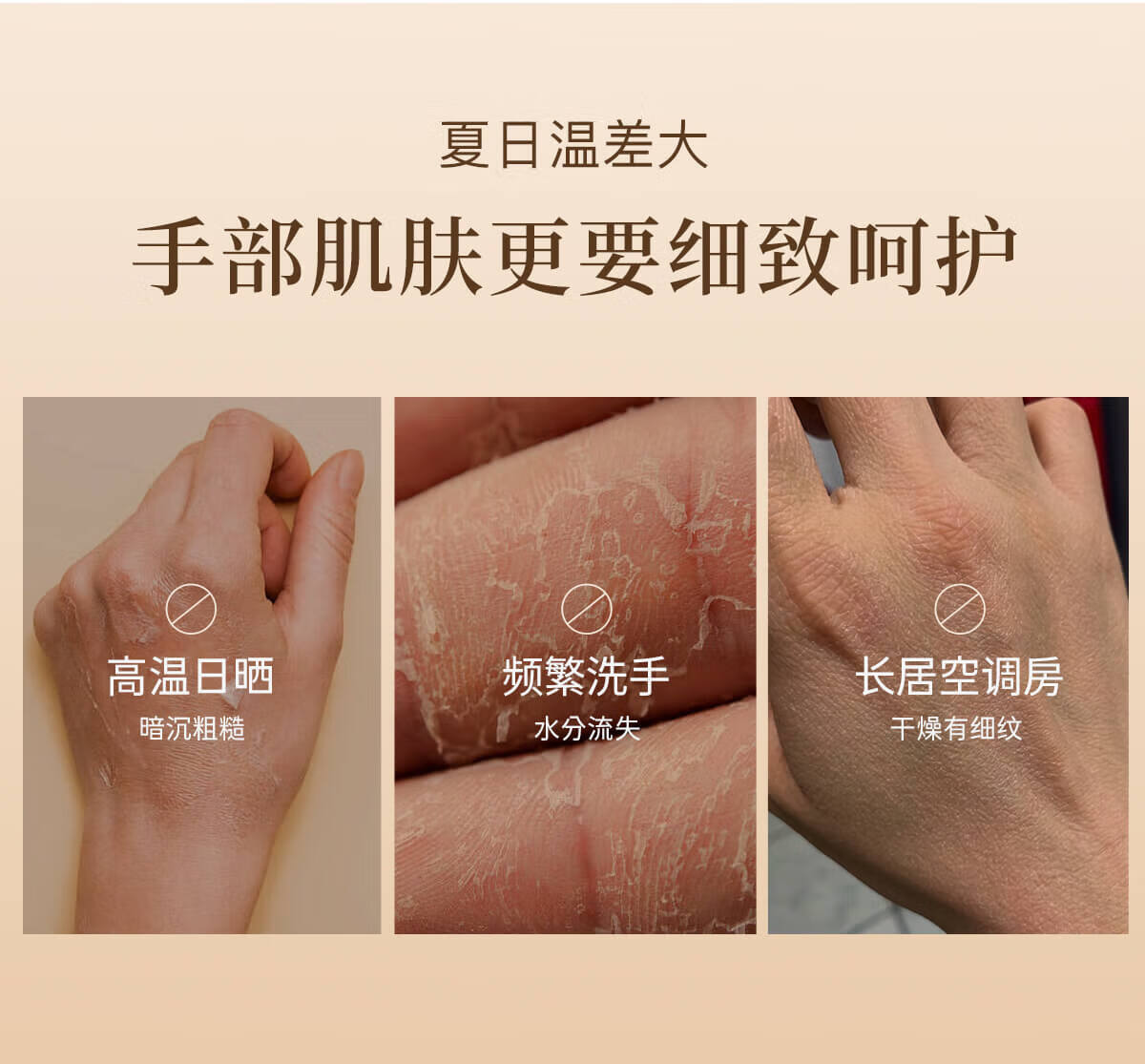独特艾琳 香氛护手霜(布列塔尼-中性白茶香)35ml高清大图