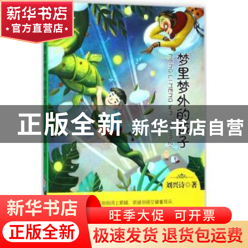 正版 中华原创幻想儿童文学大系·梦里梦外的孩子 刘兴诗 大连出版高清大图