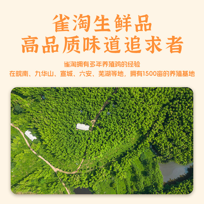 雀淘 皖南童子鸡650克/只 1只装 农家慢养走地鸡新鲜现杀整只顺丰发货高清大图