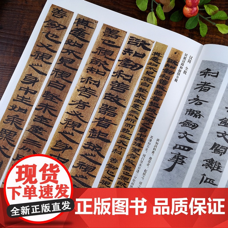 汉简 新书谱中国书法基础教程 两汉时期简牍 居延汉简高清原碑帖+笔画技法+章法结构+集字创作入门临摹教材书籍 汉简书法字高清大图